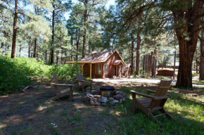 151 CR 200 1 Bedroom Cabin